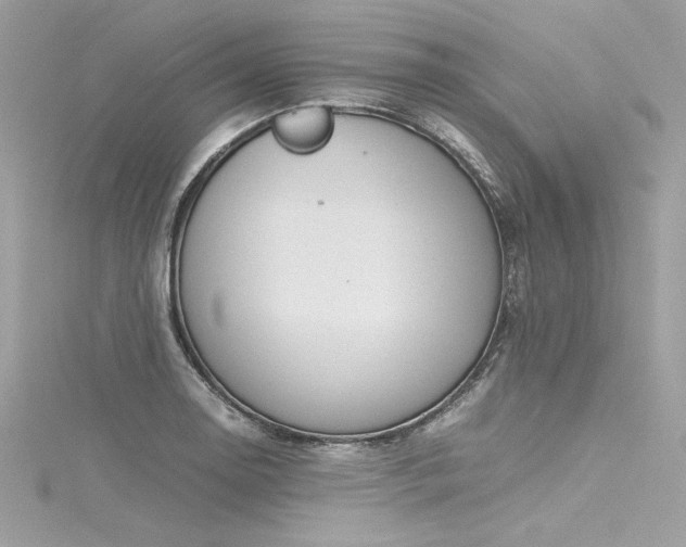 X0000116291130200911301413