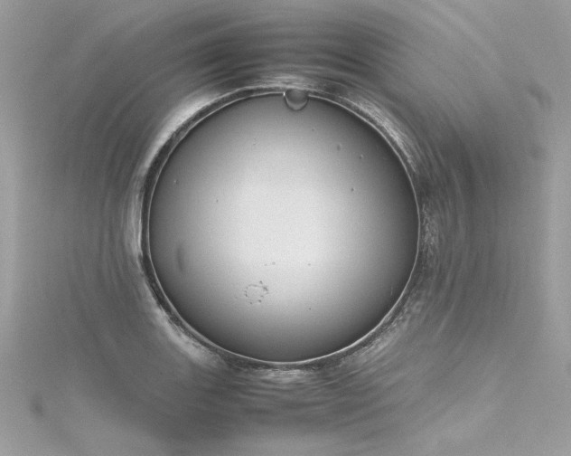 X0000116291131200911301413