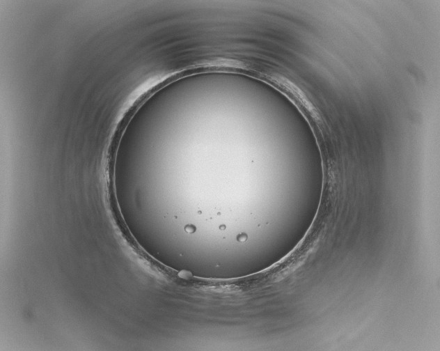 X0000116291133200911301413