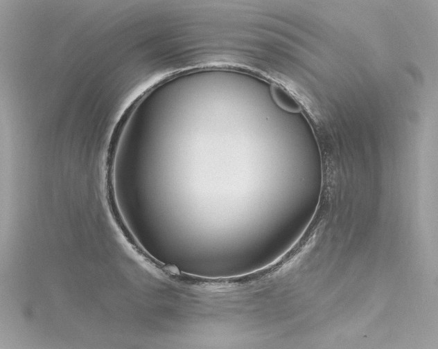 X0000116291134200911301413