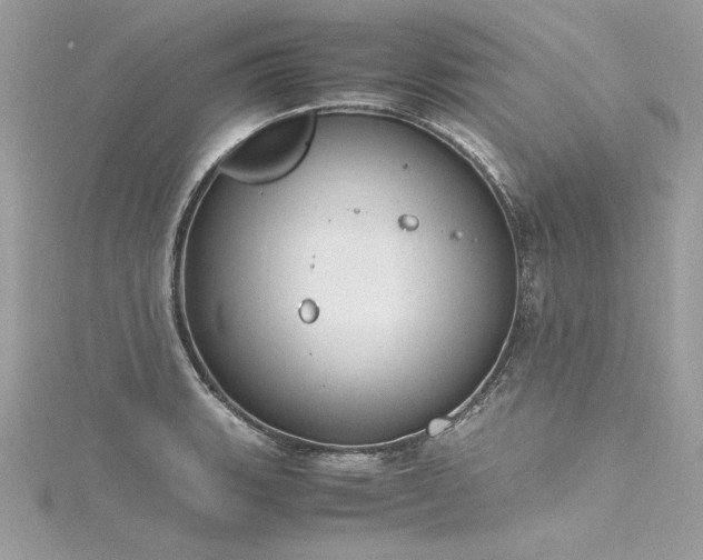 X0000116291135200911301413