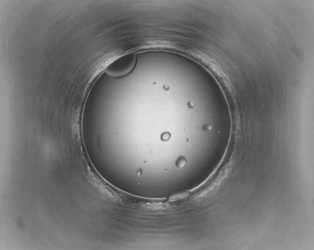 X0000116291137200911301413