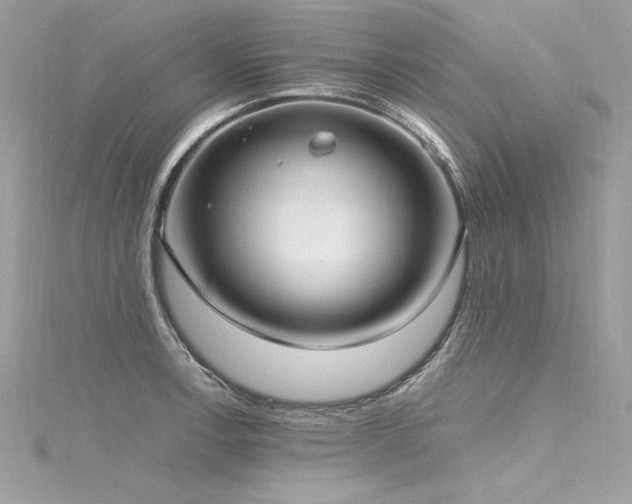 X0000116291138200911301413