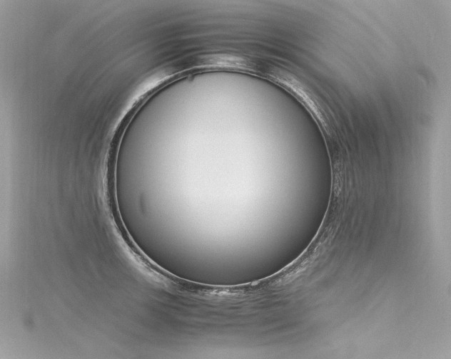 X0000116291139200911301413