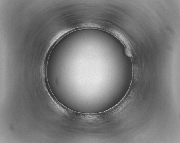 X0000116291141200911301413