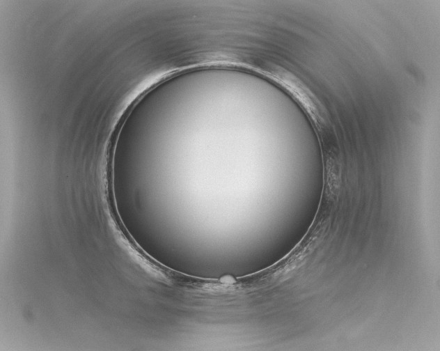 X0000116291142200911301413