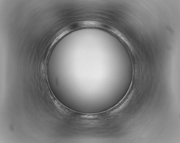 X0000116291145200911301413