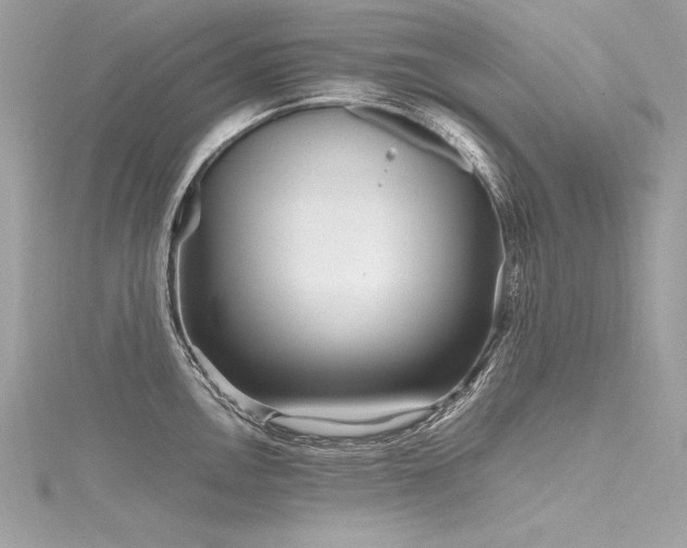 X0000116291146200911301413