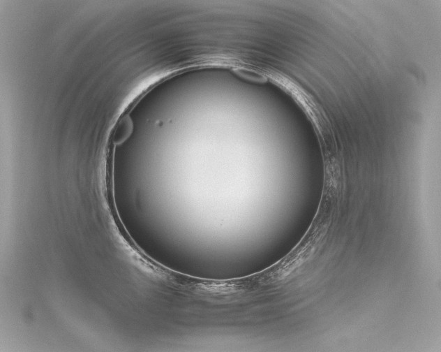 X0000116291147200911301413