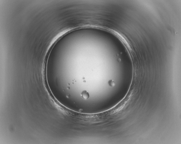 X0000116291149200911301413