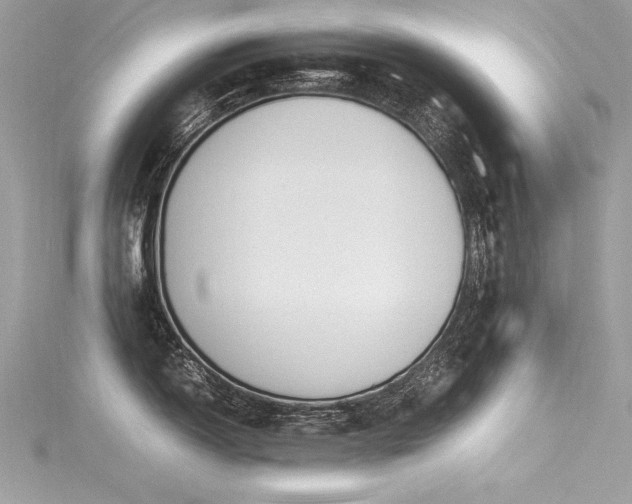 X0000116291150200911301413