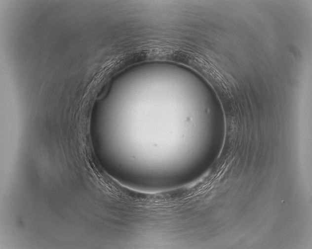 X0000116291153200911301413