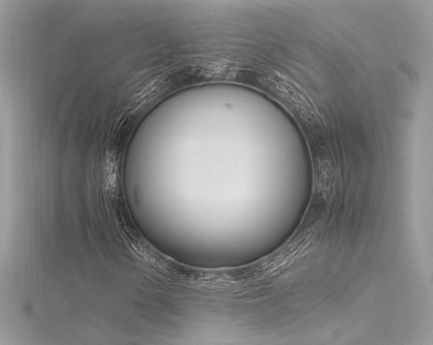 X0000116291154200911301413