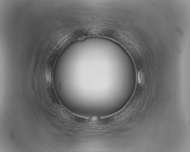 X0000116291155200911301413