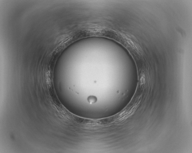 X0000116291156200911301413