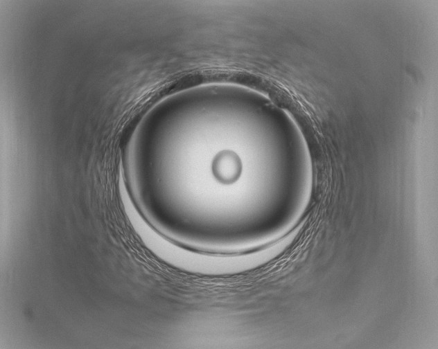 X0000116291157200911301413