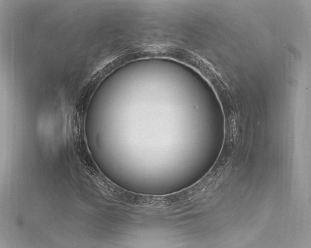 X0000116291158200911301413