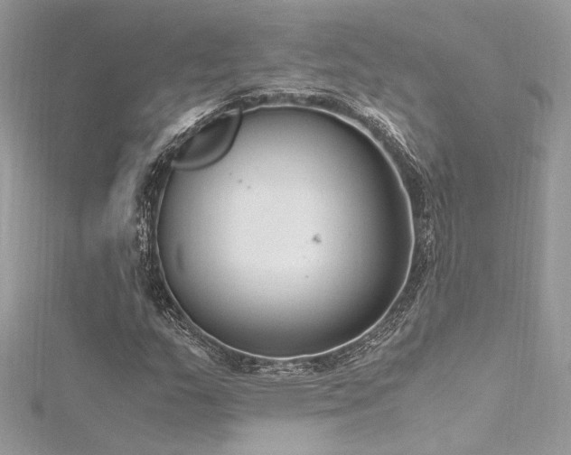 X0000116291159200911301413