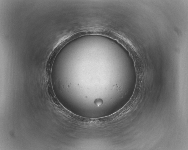 X0000116291160200911301413