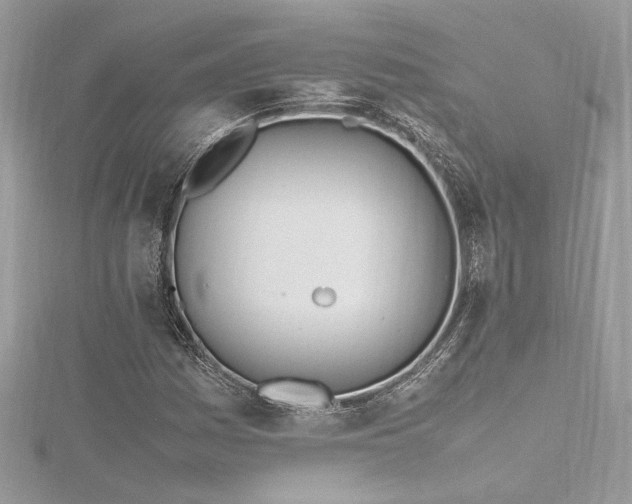 X0000116291161200911301413