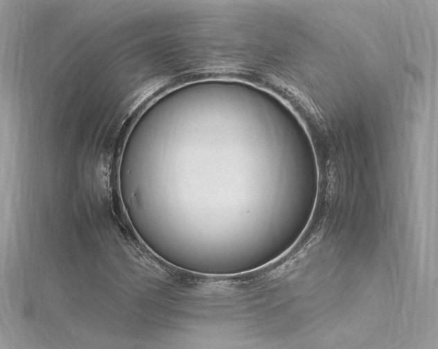 X0000116291162200911301413