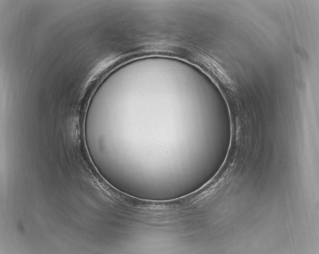 X0000116291164200911301413