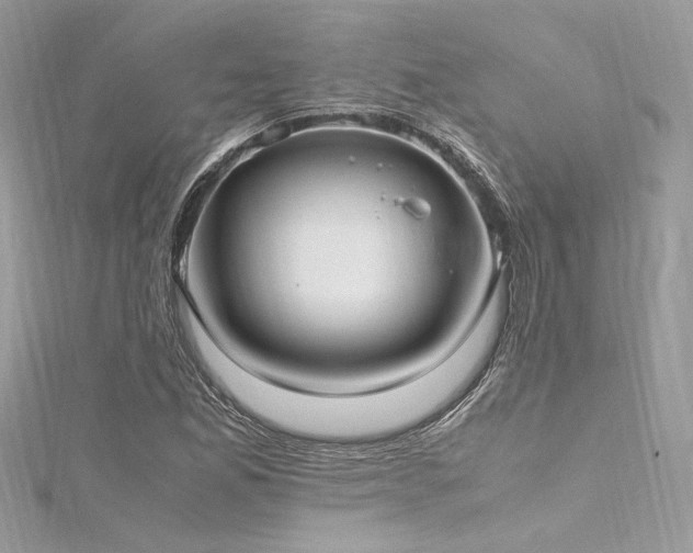 X0000116291165200911301413