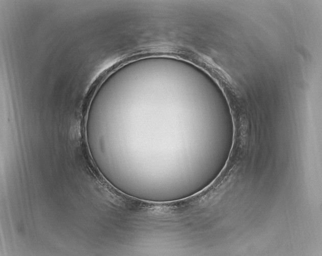 X0000116291166200911301413