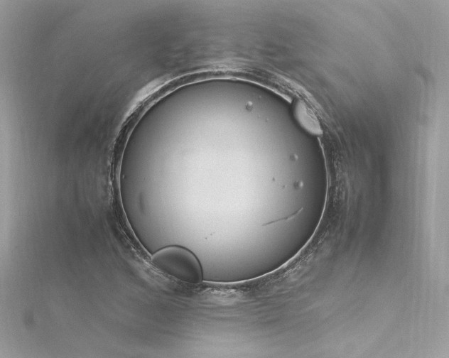 X0000116291168200911301413