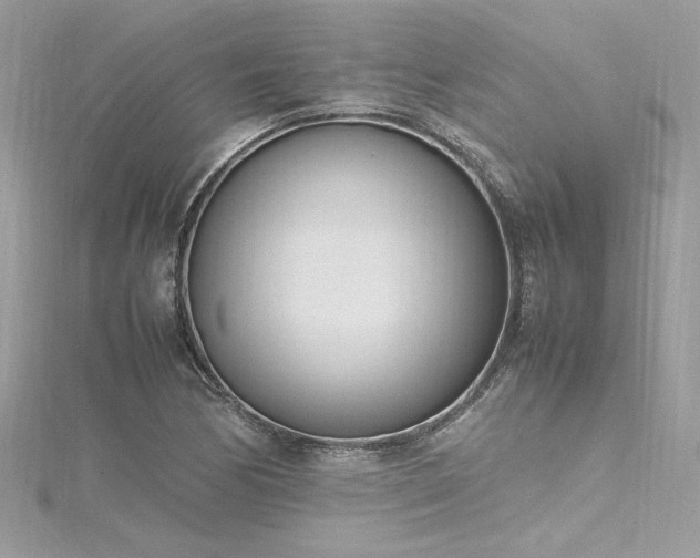 X0000116291170200911301413