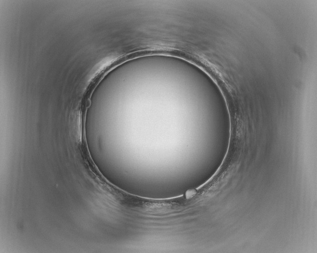 X0000116291171200911301413