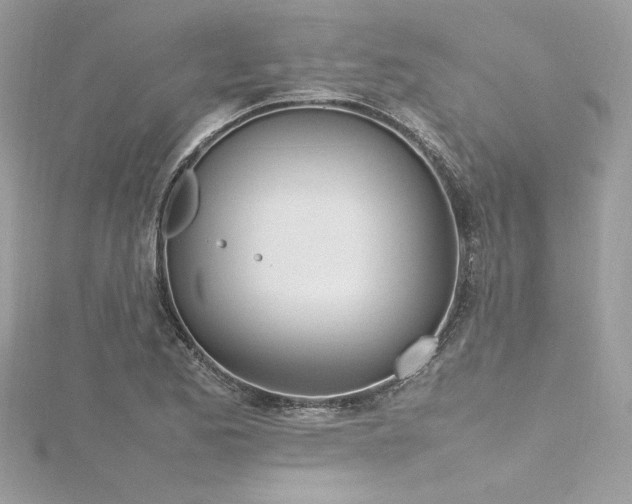 X0000116291173200911301413