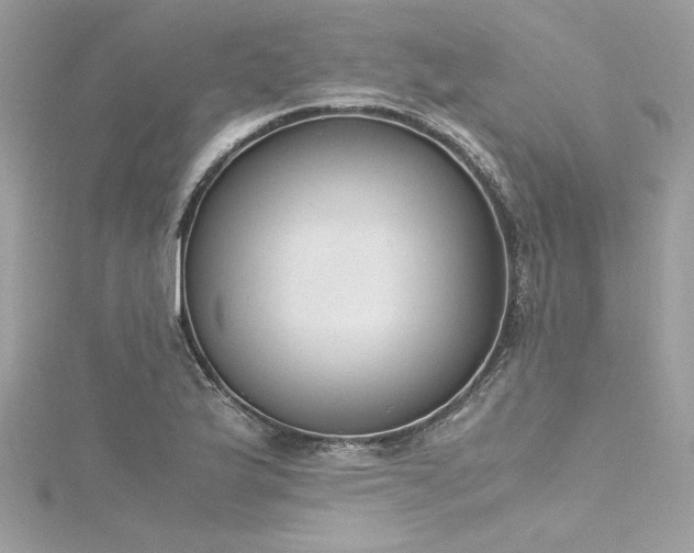 X0000116291175200911301413