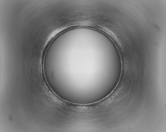 X0000116291176200911301413