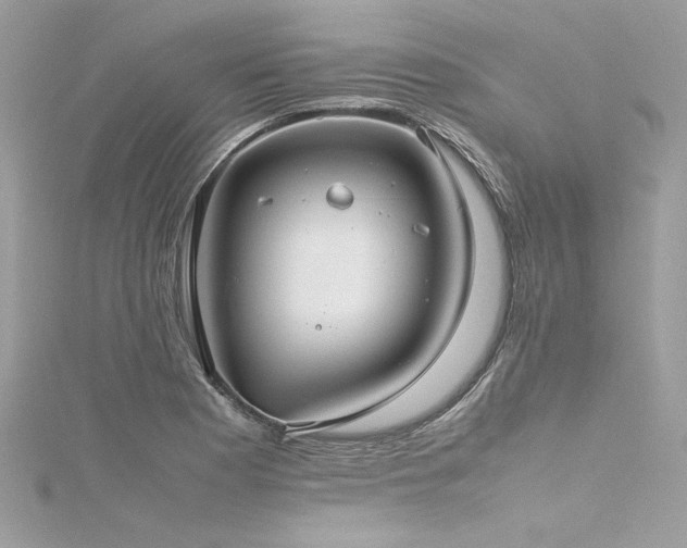 X0000116291177200911301413