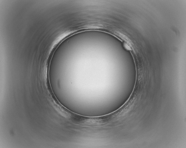 X0000116291179200911301413