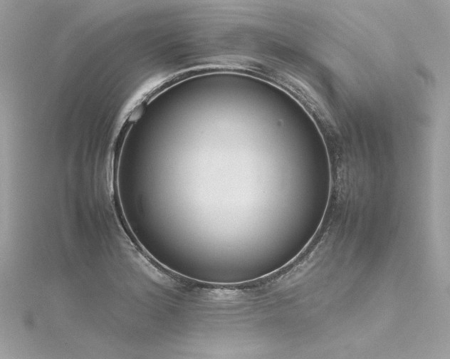 X0000116291180200911301412