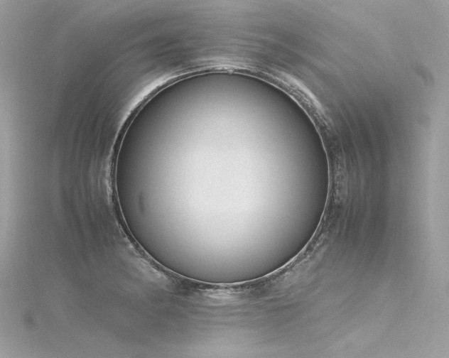 X0000116291182200911301412