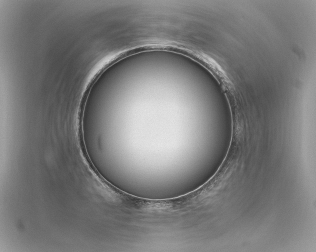 X0000116291183200911301412