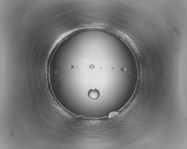 X0000116291184200911301412