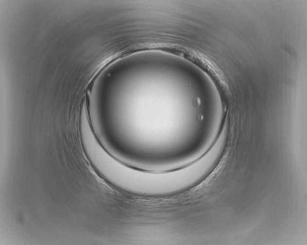 X0000116291185200911301412