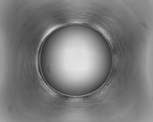 X0000116291187200911301412