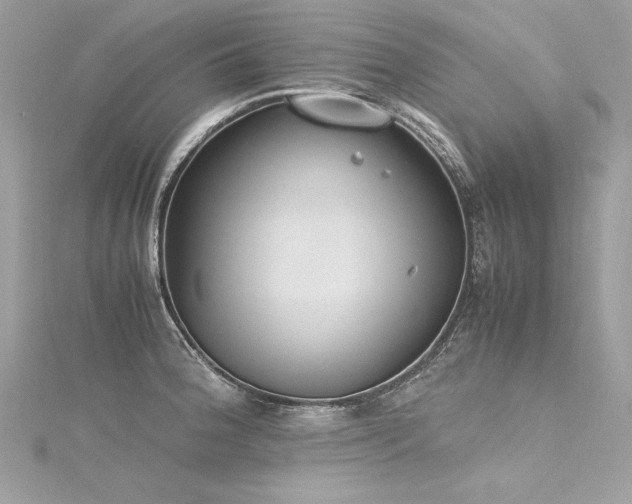 X0000116291188200911301412