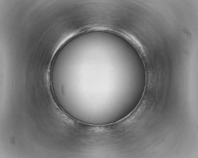 X0000116291190200911301412