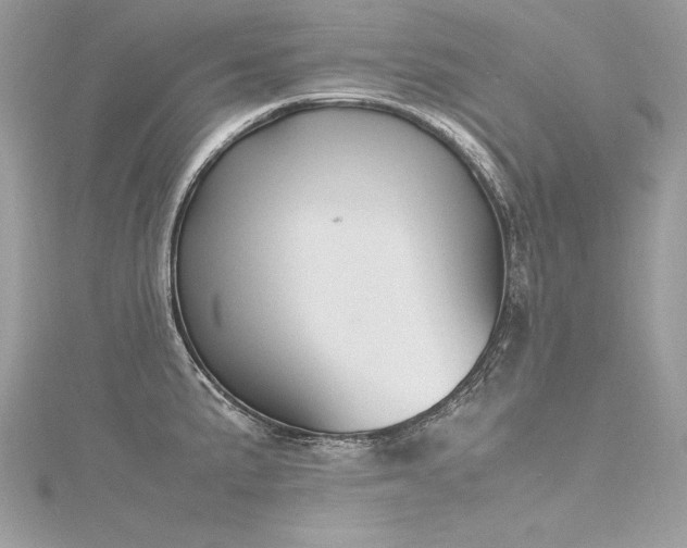 X0000116291191200911301412