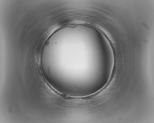 X0000116291193200911301412