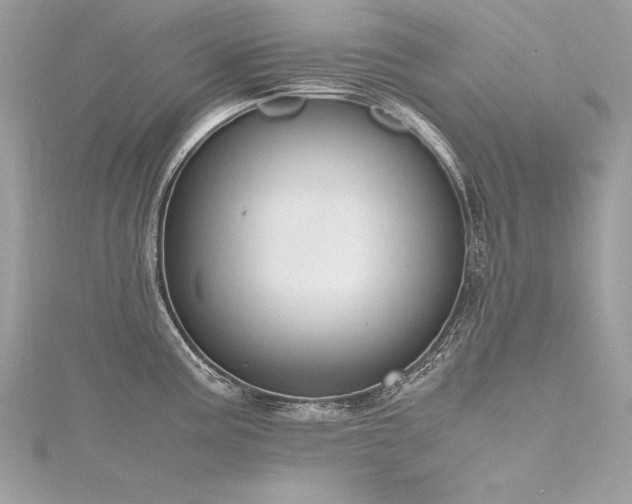 X0000116291195200911301412