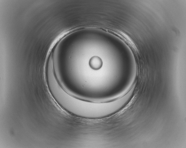 X0000116291196200911301412