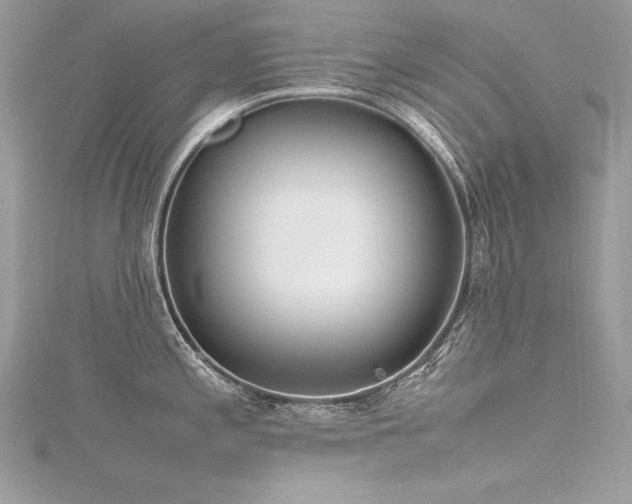 X0000116291197200911301412