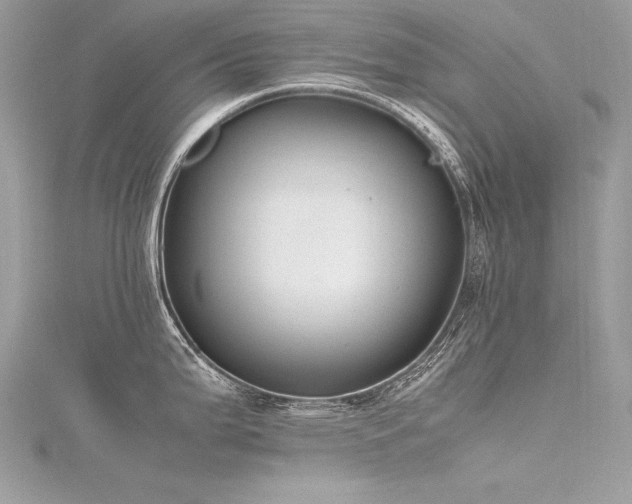 X0000116291199200911301412